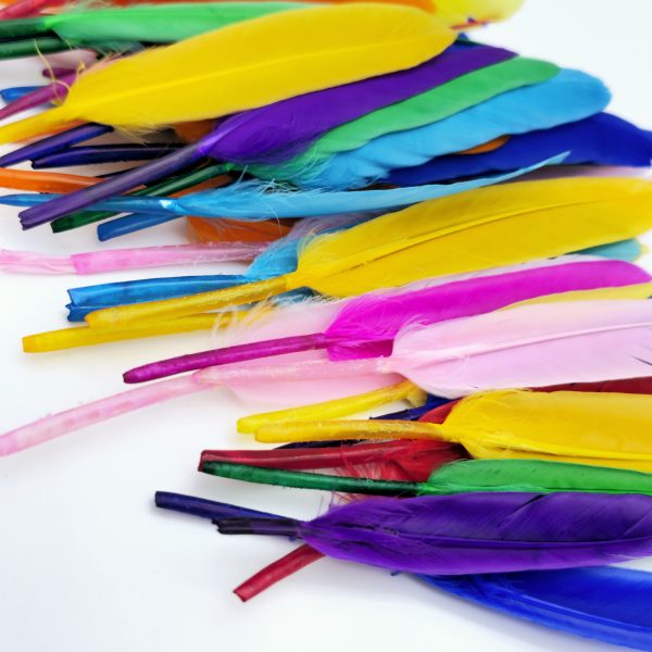 Spalvotos plunksnos 50vnt - Image 3